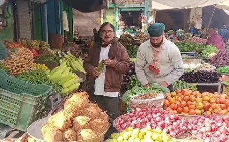 पाला नहीं पड़ने से सब्जियों की बंपर पैदावार, 10 दिन में थोक भाव में 30 रुपए तक गिरावट