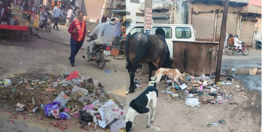 नियमित कूड़ा न उठने से शहर में जगह-जगह लग रहे है गंदगी के ढेर