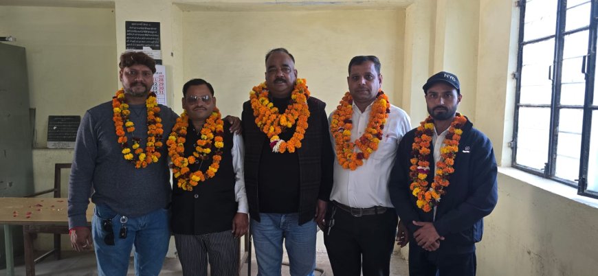 बार एसोसिएशन जहाजपुर चुनाव संपन्न: दीपक सिंह चौहान तिसरी बार अध्यक्ष बने, ऋषभ कुमार मीणा कोषाध्यक्ष निर्वाचित