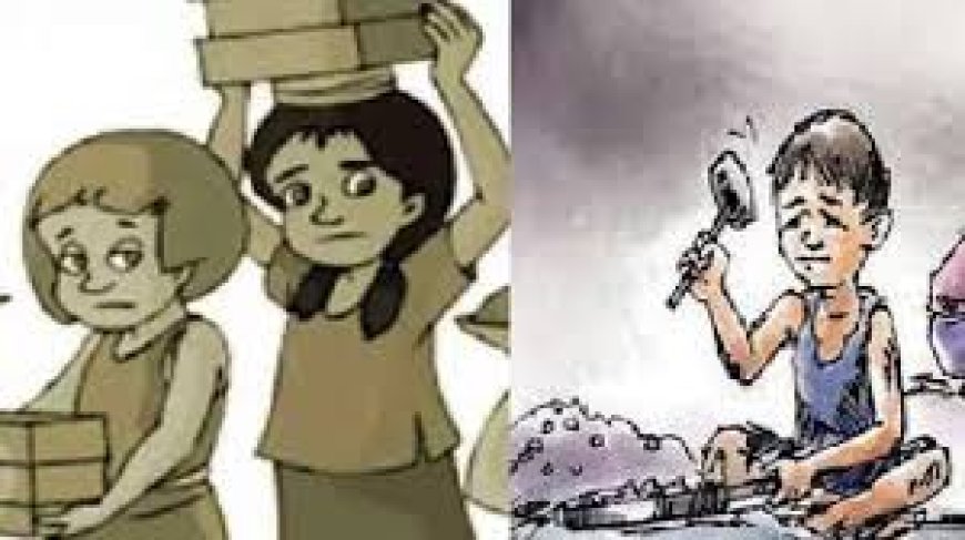 जिला स्तरीय बाल श्रमिक टास्क फोर्स की बैठक सम्पन्न