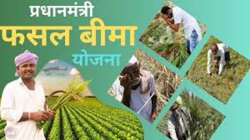प्रधानमंत्री फसल बीमा योजना रबी 2025-26 हेतु अधिसूचना जारी;  कृषक 31 दिसम्बर तक कराएं नामांकन