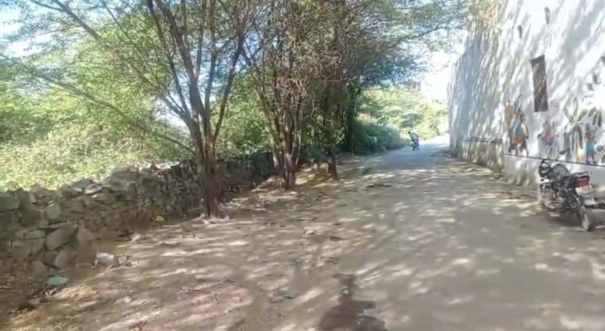 सालमपुरा माता के गन्दगी का आलम, अंग्रेजी बबूल से परेशानी, नहीं तो पार्किंग, नहीं रोड लाइट व्यवस्था श्रद्धालु परेशान