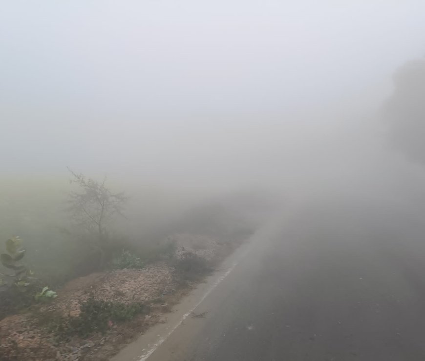 महवा में कोहरे ने बढ़ाई ठंड, शहर में घना कोहरा छाया