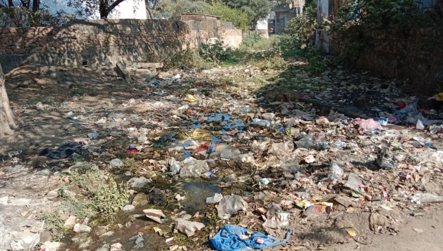 माचाड़ी ग्राम पंचायत में साफ सफाई नहीं होने के कारण संक्रमक बीमारी फैलने का भय