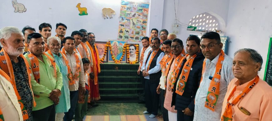 उदयपुरवाटी भाजपा मंडल की संगठनात्मक बैठक संपन्न