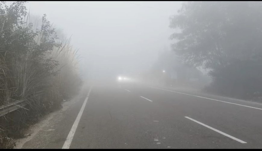 वैर में घना कोहरा और कड़ाके की ठंड, जनजीवन प्रभावित