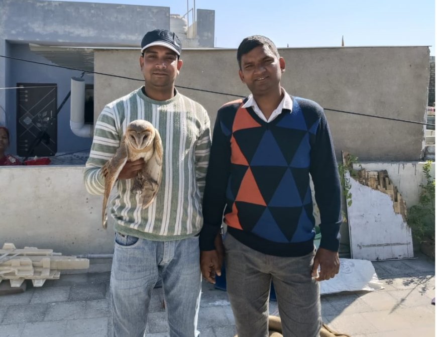 घटते वन क्षेत्र ओर पेड़ो की कमी के कारणअब आबादी में बस्तियों की ओर आने लगे  वन्य जीव