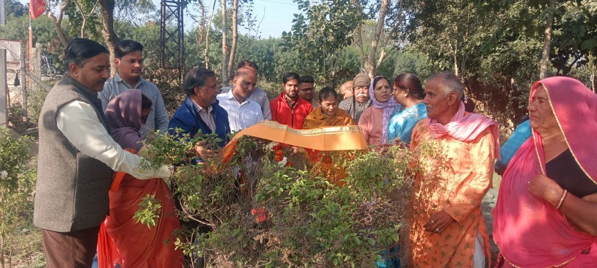 श्री कामधेनु बालाजी मंदिर मे तुलसी पूजन के साथ पोष बड़ा का भव्य आयोजन संपन्न