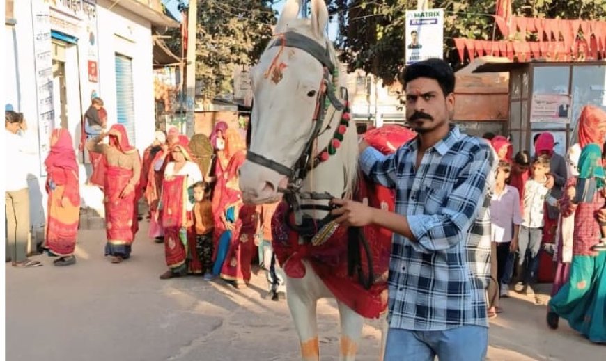 जाखल में घोड़ी के बच्चे के जन्म पर कुआं पूजन, सामूहिक भोज का हुआ आयोजन