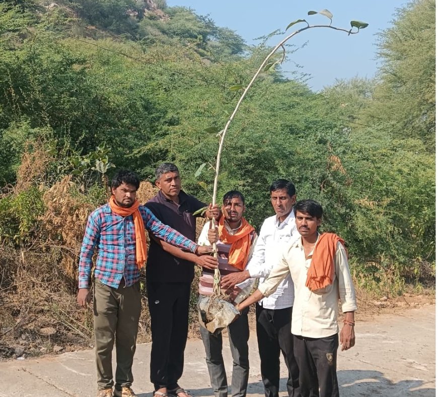 नववर्ष के आगमन पर बरगद व पीपल के पौधे लगाकर दिया पर्यावरण संरक्षण का संदेश