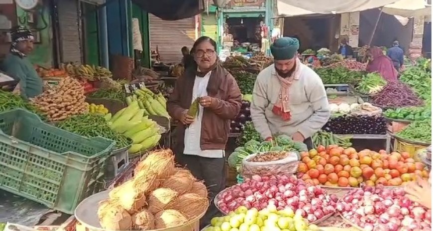 पाला नहीं पड़ने से सब्जियों की बंपर पैदावार, 10 दिन में थोक भाव में 30 रुपए तक गिरावट