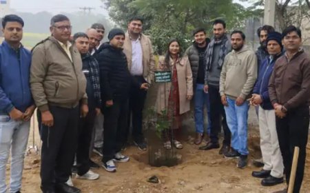 गोविंदगढ़ एसडीएम ने कार्यालय में 35 पौधे लगाए: नववर्ष पर पर्यावरण संरक्षण का संदेश दिया