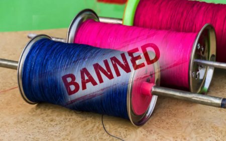 अलवर में चाइनीज और सिंथेटिक मांझा पर प्रतिबंध