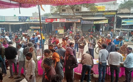 गोविन्दगढ़ में करंट लगने से लंगूर की मौत, हनुमान जी का रूप मानकर विधि-विधान से हुई अंतिम-क्रिया, विशाल भंडारा आयोजित