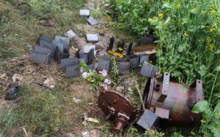 मालपुर में सरकारी स्कूल के पास से ट्रांसफार्मर चोरी: सरसों के खेत में ले जाकर तांबा निकाला, घरों की बिजली गुल