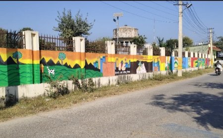 राजकीय आवासों की दीवारें बनी जागरूकता का माध्यम