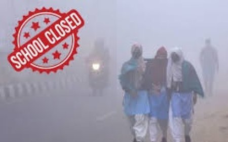 अलवर में कड़ाके की सर्दी: 5वीं क्लास तक के बच्चों की 10 जनवरी तक छुट्टी, टीचर्स व स्टाफ स्कूल आएगा