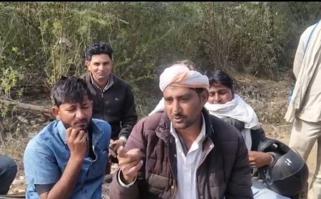 क्षेत्र में तेंदुए की सूचना पर खलबली, फिर दिखा तेंदुआ