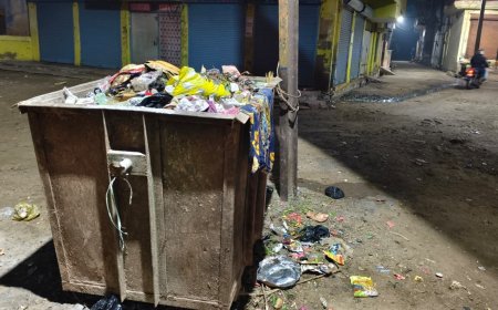 कस्बे में पिछले दो दिनों से सफाई नहीं गंदगी के लगे ढेर