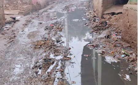 पहाड़ी नगरपालिका में गंदगी-कीचड़ से बुरा हाल, लोग परेशान: 80 लाख के ठेके के बावजूद सफाई नहीं; ईओ बोले- सड़कों का टेंडर हुआ