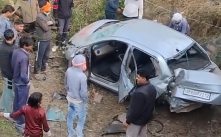 तेज रफ्तार कार पुल से नीचे गिरी; क्षतिग्रस्त कार छोड़कर चालक सहित सवारी फरार