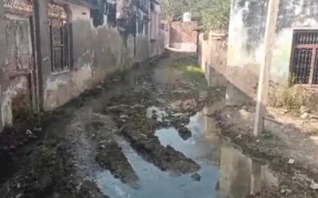 पीपलखेड़ा में रास्ते पर अतिक्रमण, लोग हो रहे परेशान: ग्रामीणों ने उपखंड अधिकारी से शिकायत की, तत्काल कार्रवाई की मांग