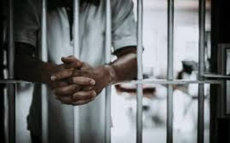 नाबालिग से गैंगरेप का दोषी करार, अलवर पोक्सो कोर्ट का बड़ा फैसला आरोपी को मरते दम तक जेल