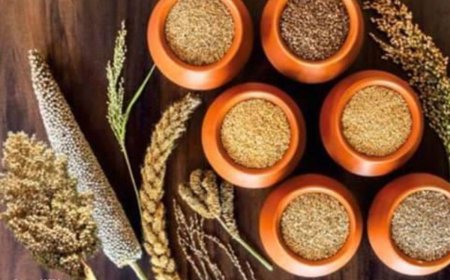 श्री अन्न (मिलेट्स) कार्यशाला का आयोजन आज बीडीए ऑडिटोेरियम में संभाग के किसान एवं एफपीओ व एसएलजी लेगें भाग