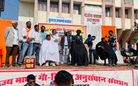 भीलवाड़ा क्षोरकार सैलून संचालकों द्वारा निःशुल्क हेयर कटिंग कर 78000 रूपयें गौ-सेवा के लिए किए दान