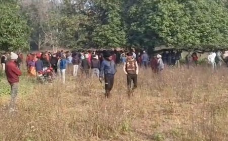 पेड़ से लटका मिला युवती का शव, हत्या की आशंका; क्षेत्र में फैली सनसनी