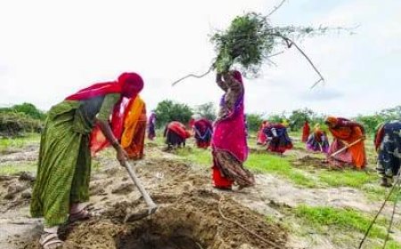 वीबी-जी रामजी अधिनियम-2025  ग्रामीण रोजगार की नई मजबूत गारंटी