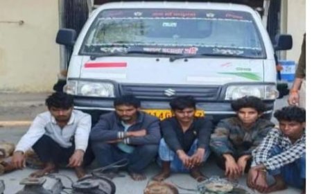 कारोई पुलिस की बड़ी कार्यवाही, खेत मे कुओ से पानी की मोटरे चोरी का किया खुलासा; 6 गिरफ़्तार