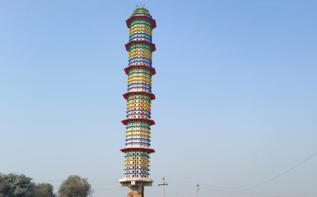 पक्षियों के लिए इंसानियत की मिसाल: बयाना में बना अनोखा चिड़ियाघर