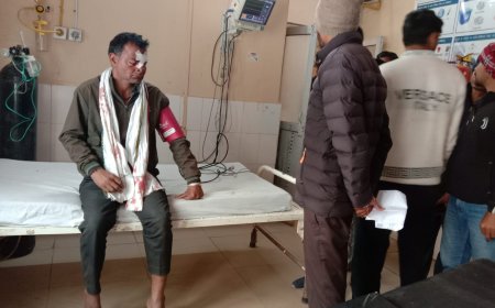 कठूमर में बिजली चोरी के खिलाफ कार्रवाई करने पहुंची टीम पर लाठी-डंडों व लात-घूंसों से हमला