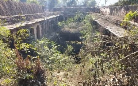 ऐतिहासिक बावड़ी का जीर्णोद्धार कराने की मांग