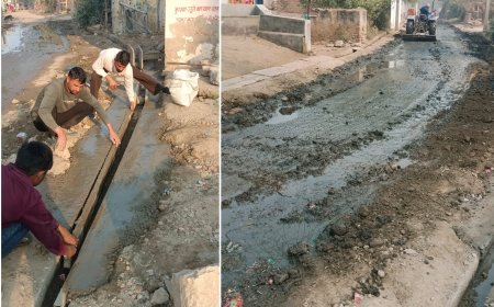 ललावंडी के युवाओं ने पेश की मिसाल: जल जीवन मिशन की खुदाई से बदहाल गांव को श्रमदान से संवारा, खुद बनाई पक्की नालियां