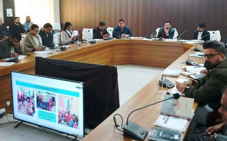 यूडीआईडी कार्ड के निस्तारण हेतु 31 जनवरी तक कैम्पेन मोड पर करें कार्य-जिला कलक्टर