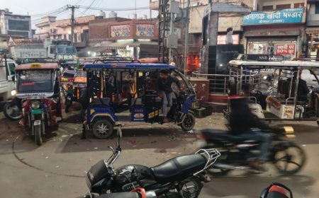 शहीद हेमू कालानी स्मारक को अतिक्रमण से घेरा, अवैध पार्किंग व बसों का स्टॉपेज बनाया