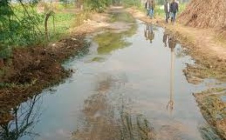 जर्जर रास्ते-जलभराव से ग्रामीण परेशान: प्रशासन पर सुनवाई न करने का आरोप, मतदान बहिष्कार की चेतावनी