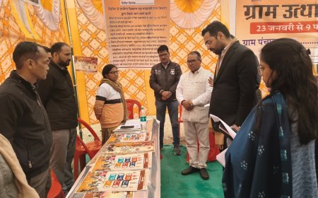 ग्राम पंचायत बहनेरा में ग्राम उत्थान शिविर का जिला कलक्टर ने किया निरीक्षण