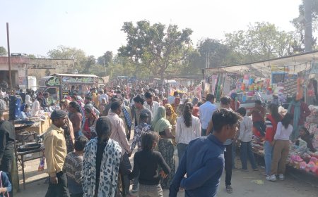 बासड़ा  के देवनारायण मंदिर मयसाता पर एक दिवसीय मेले का हुआ आयोजन