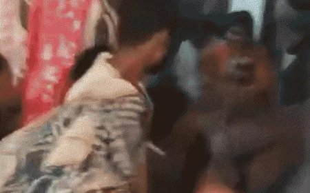 गोरखपुर: जमीन विवाद में प्रधान प्रत्याशी की घर में घुसकर हत्या, बदमाशों ने सीने में उतारी गोली