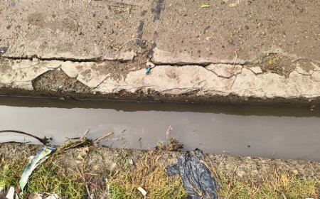 कस्बा अलावडा़ में पीडब्ल्यूडी विभाग द्वारा घटिया निर्माण सामग्री से बनाया गया नाला डेढ़ वर्ष में ही टूटा