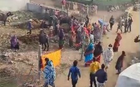पशु बांधने के विवाद ने लिया उग्र रूप करीब दो दर्जन लोग घायल