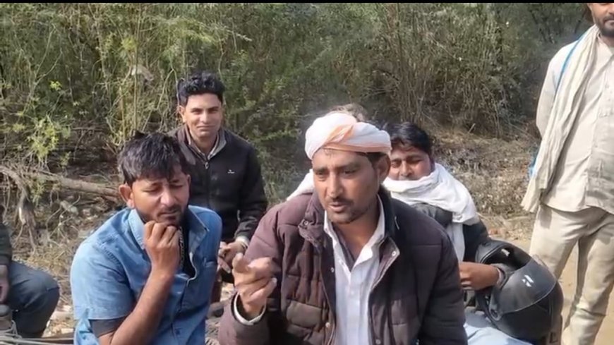 क्षेत्र में तेंदुए की सूचना पर खलबली, फिर दिखा तेंदुआ