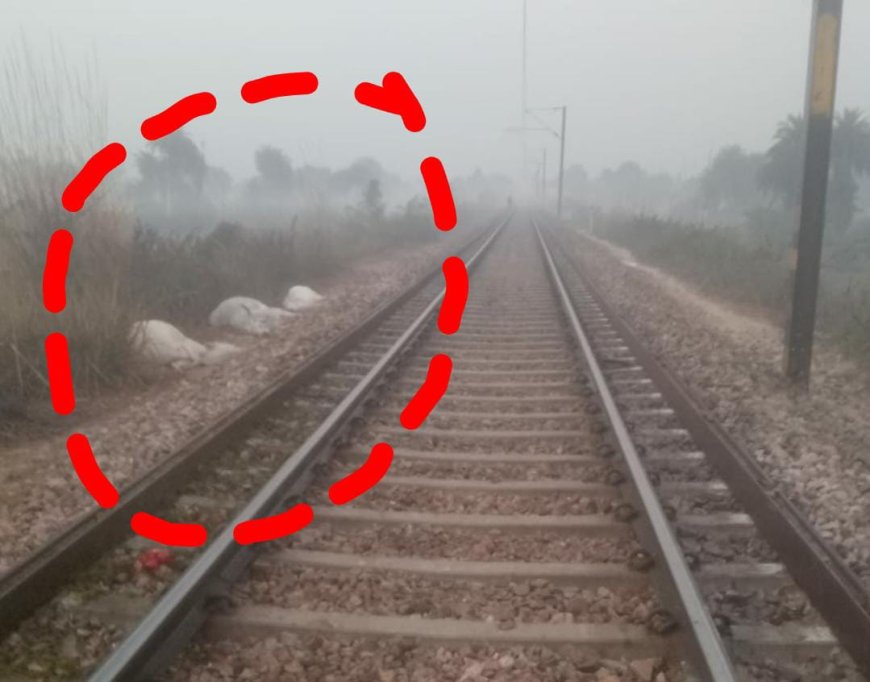 तेज रफ्तार ट्रेन ने 20 गायों को रौंदा, पटरी पर बिछ गई लाशें;  मंजर देख दहल गए लोग