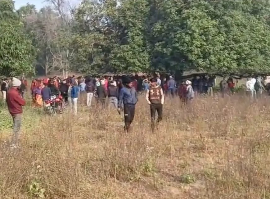 पेड़ से लटका मिला युवती का शव, हत्या की आशंका; क्षेत्र में फैली सनसनी