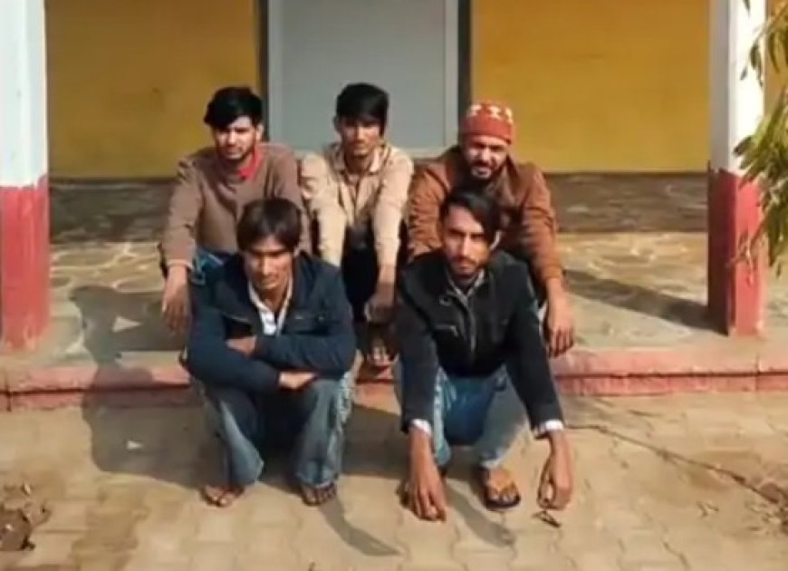 फर्जी विज्ञापन का झांसा देकर ठगी करने वाली गैंग का पर्दाफाश, 5 बदमाश दबोचे: 5 मोबाइल-8 फर्जी सिम बरामद