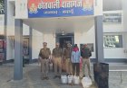 पुलिस का बड़ा एक्शन, अवैध शराब भट्टी का भंडाफोड़; 350 लीटर लहन नष्ट, शराब बनाने के उपकरण बरामद