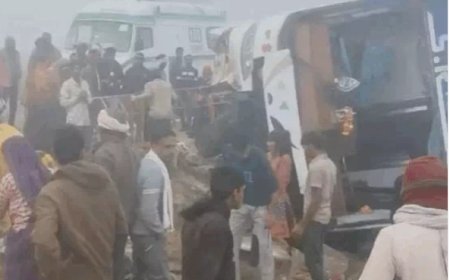 कोहरे के चलते बस बेकाबू हो पलटी:एक महिला गंभीर, आधा दर्जन यात्री चोटिल